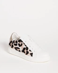 Lace To Toe Leopard Trainer E Fit -JD Williams Shop x01pe315746s