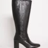 Leather High Leg Boot E Fit Super Curvy