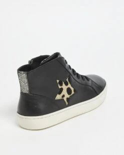 Leather Star Trim Hi Top Trainer E Fit -JD Williams Shop x01pe801740s