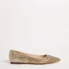 Ombre Sparkle Pointed Shoe E Fit
