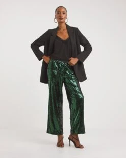Green Sequin Straight Leg Trouser -JD Williams Shop x01zg001748w